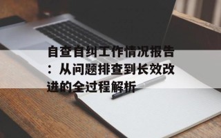 自查自纠工作情况报告：从问题排查到长效改进的全过程解析