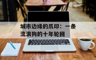 城市边缘的爪印：一条流浪狗的十年轮回