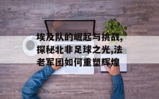 埃及队的崛起与挑战,探秘北非足球之光,法老军团如何重塑辉煌