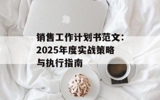 销售工作计划书范文：2025年度实战策略与执行指南