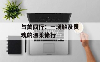 与美同行：一场触及灵魂的温柔修行