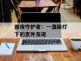 雨夜守护者：一盏路灯下的意外发现