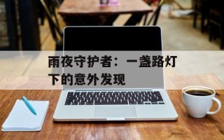 雨夜守护者：一盏路灯下的意外发现