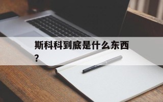 斯科科到底是什么东西？