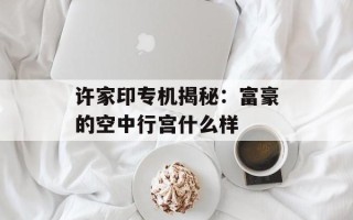 许家印专机揭秘：富豪的空中行宫什么样