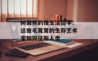 树袋熊的慢生活哲学：这些毛茸茸的生存艺术家如何征服人类