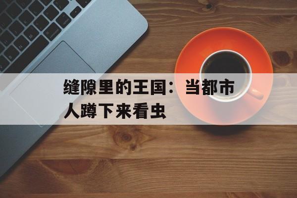 缝隙里的王国：当都市人蹲下来看虫-第1张图片-