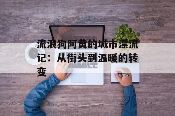 流浪狗阿黄的城市漂流记:从街头到温暖的转变-第1张图片- 流浪狗阿黄的城市漂流记:从街头到温暖的转变-第1张图片-