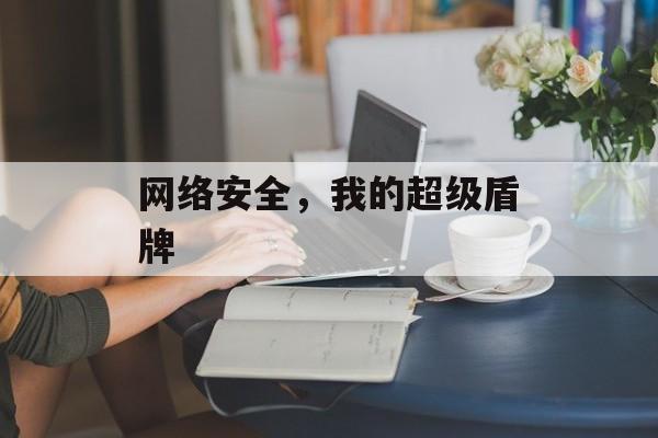 网络安全，我的超级盾牌-第1张图片-