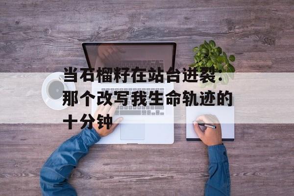 当石榴籽在站台迸裂：那个改写我生命轨迹的十分钟-第1张图片-