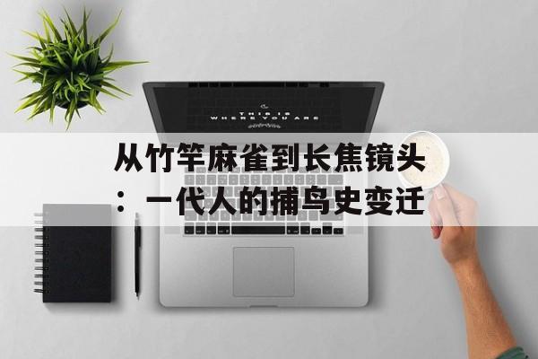 从竹竿麻雀到长焦镜头：一代人的捕鸟史变迁-第1张图片-