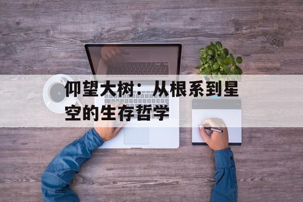 仰望大树：从根系到星空的生存哲学-第1张图片-