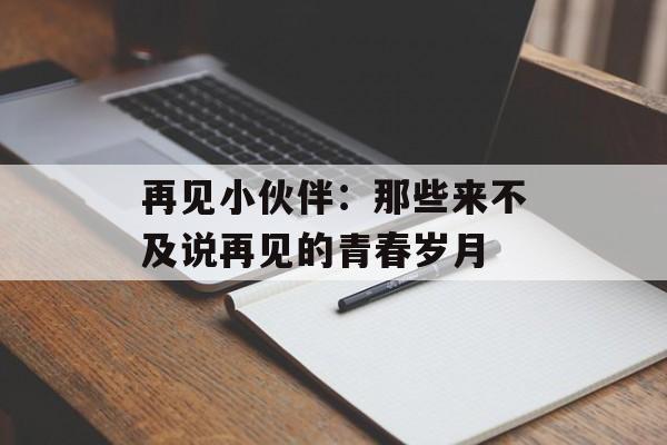 再见小伙伴：那些来不及说再见的青春岁月-第1张图片-