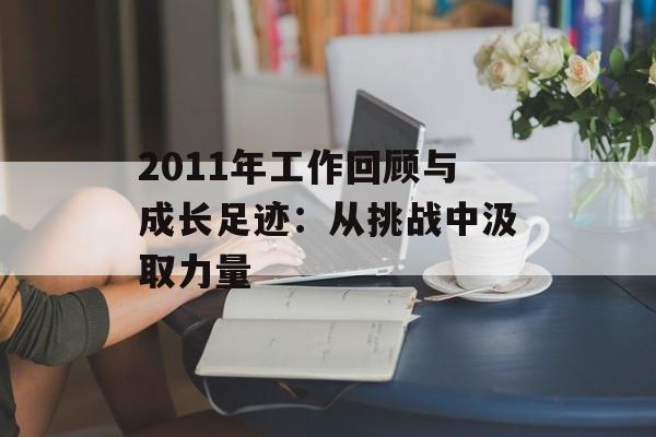 2011年工作回顾与成长足迹：从挑战中汲取力量-第1张图片-