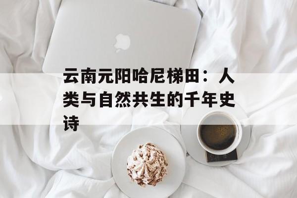 云南元阳哈尼梯田：人类与自然共生的千年史诗-第1张图片-