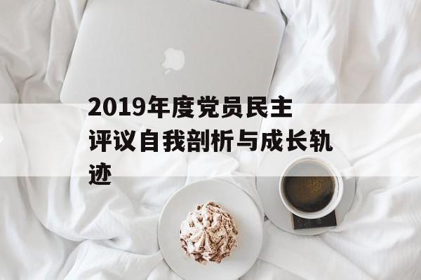 2019年度党员民主评议自我剖析与成长轨迹-第1张图片-