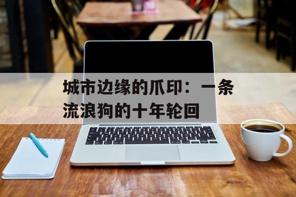 城市边缘的爪印：一条流浪狗的十年轮回-第1张图片-