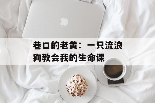 巷口的老黄：一只流浪狗教会我的生命课-第1张图片-