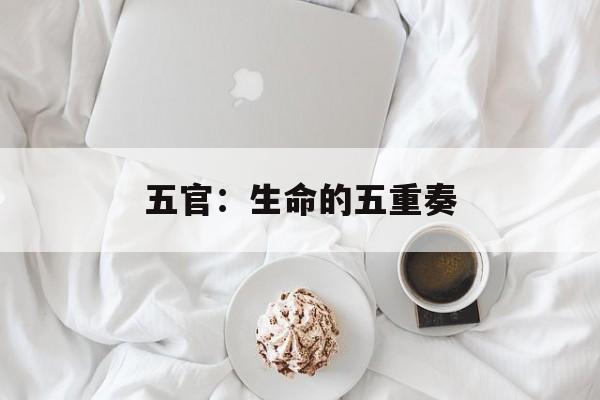 五官：生命的五重奏-第1张图片-