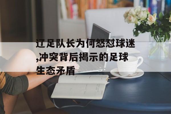 辽足队长为何怒怼球迷,冲突背后揭示的足球生态矛盾-第1张图片-