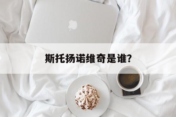 斯托扬诺维奇是谁?-第1张图片- 斯托扬诺维奇是谁?-第1张图片-
