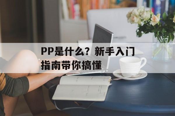 PP是什么?新手入门指南带你搞懂-第1张图片- PP是什么?新手入门指南带你搞懂-第1张图片-