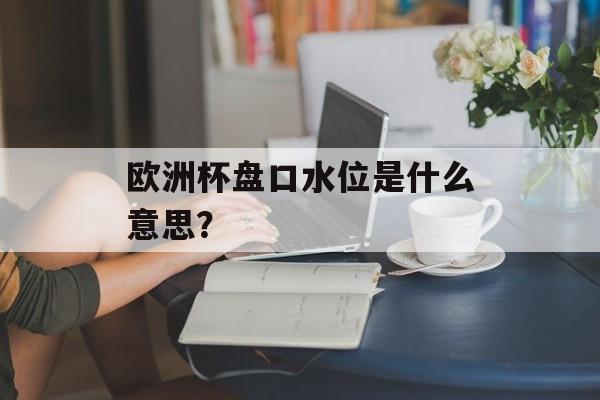 欧洲杯盘口水位是什么意思？-第1张图片-