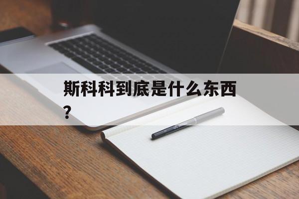 斯科科到底是什么东西？-第1张图片-