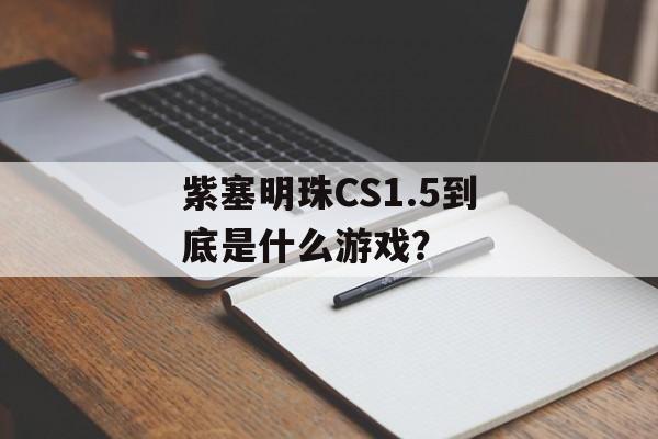 紫塞明珠CS1.5到底是什么游戏?-第1张图片- 紫塞明珠CS1.5到底是什么游戏?-第1张图片-