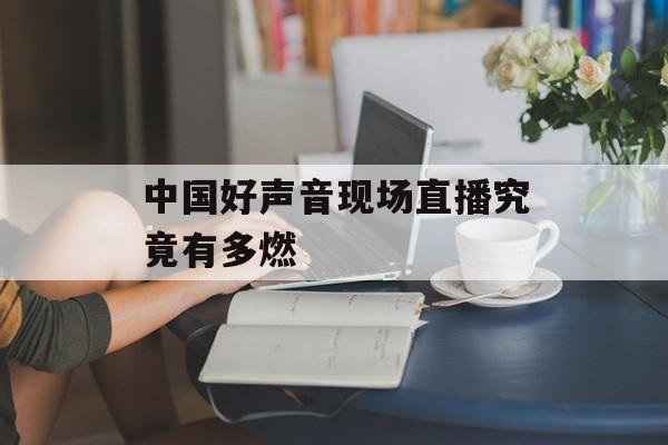 中国好声音现场直播究竟有多燃-第1张图片-