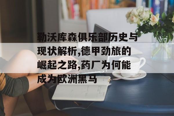 勒沃库森俱乐部历史与现状解析,德甲劲旅的崛起之路,药厂为何能成为欧洲黑马-第1张图片-